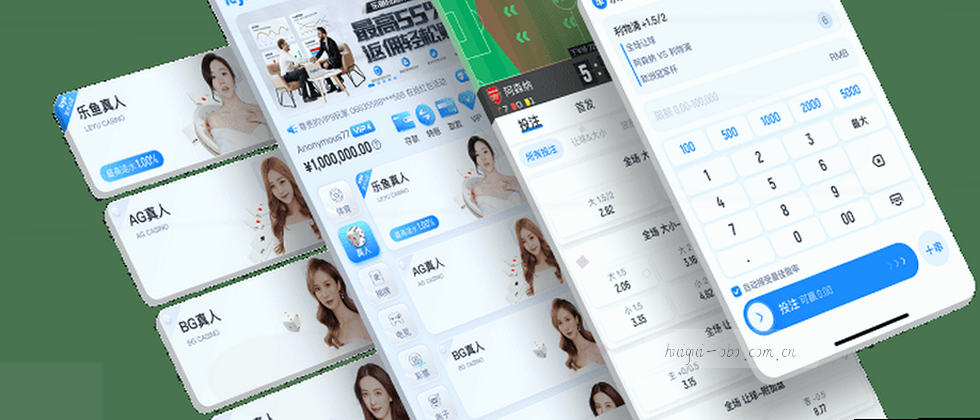 标题：隐私政策与数据保护说明