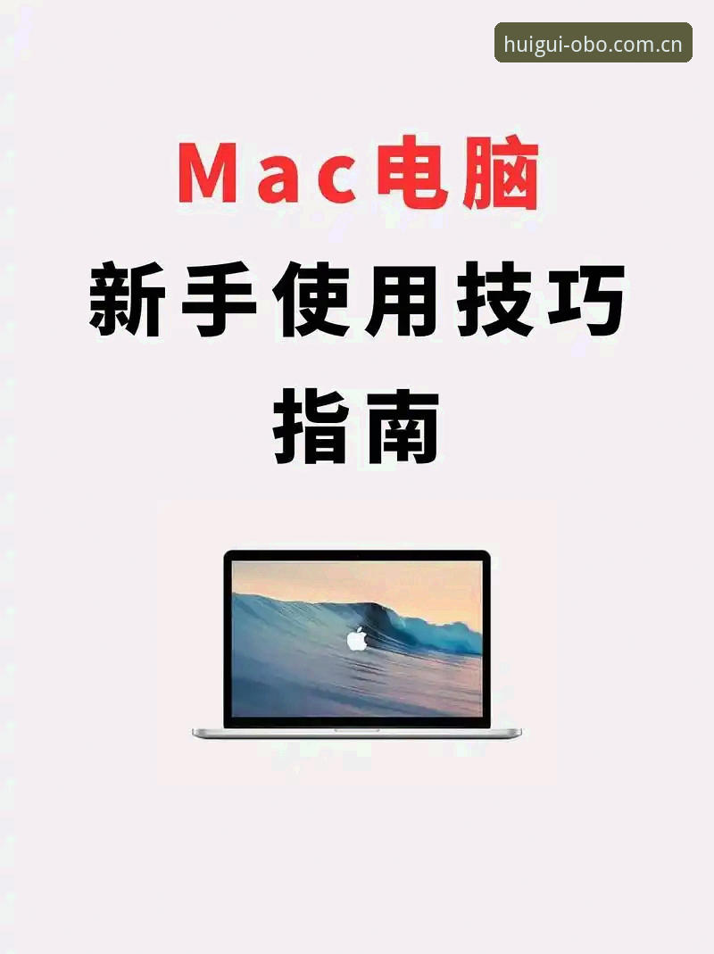 电脑端回归本真新起点海外版 电脑端回归本真新起点海外版怎么用?一个老用户摸索三天的真实体验